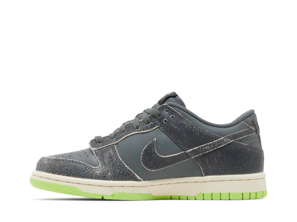 Nike Dunk Low Swoosh Shadow Iron Grey (GS)-DQ6215-001