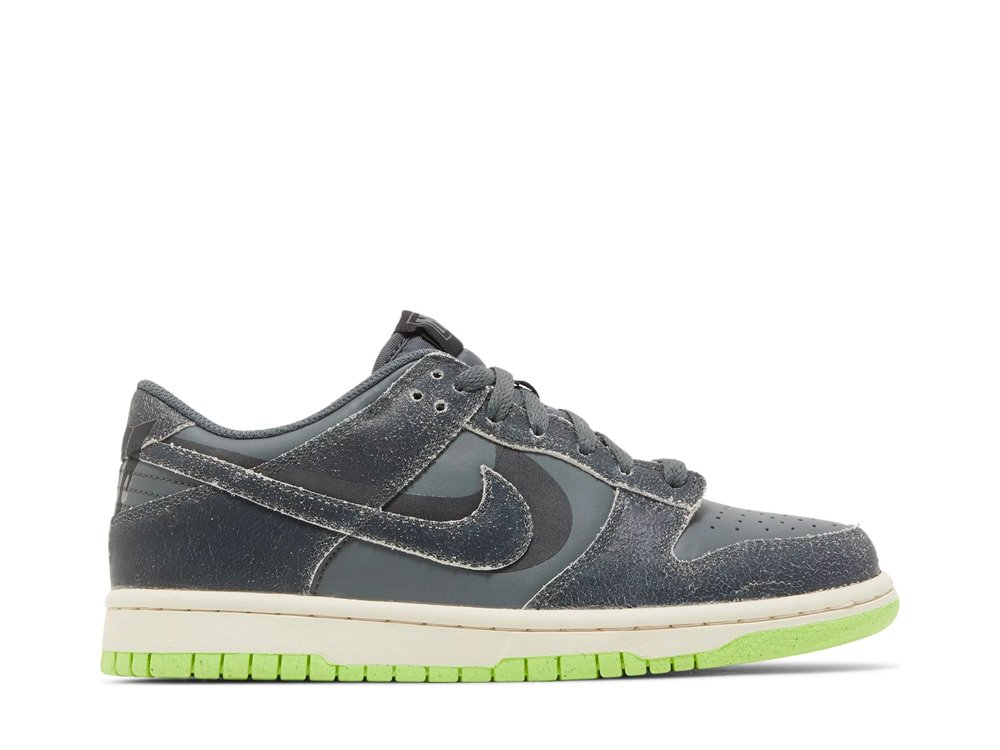 Nike Dunk Low Swoosh Shadow Iron Grey (GS)-DQ6215-001